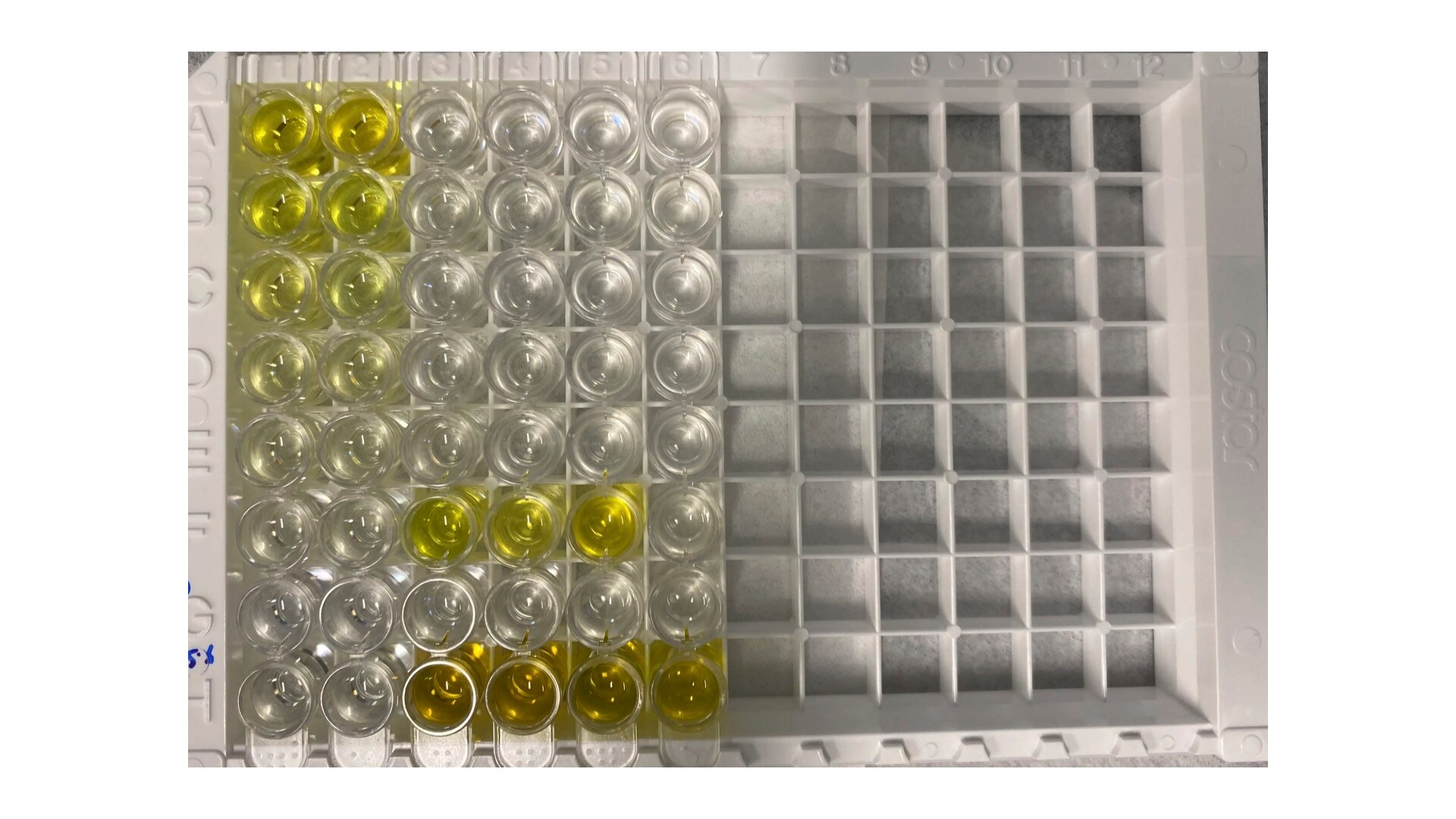 Human TNF-alpha Quantikine ELISA Kit DTA00D