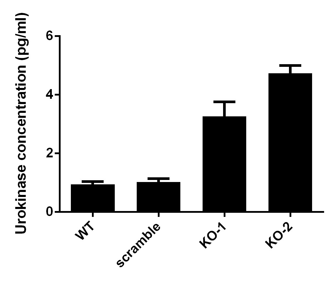 Human u-Plasminogen Activator/Urokinase Quantikine ELISA DUPA00