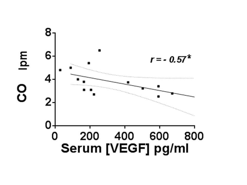 Human VEGF Quantikine ELISA Kit DVE00