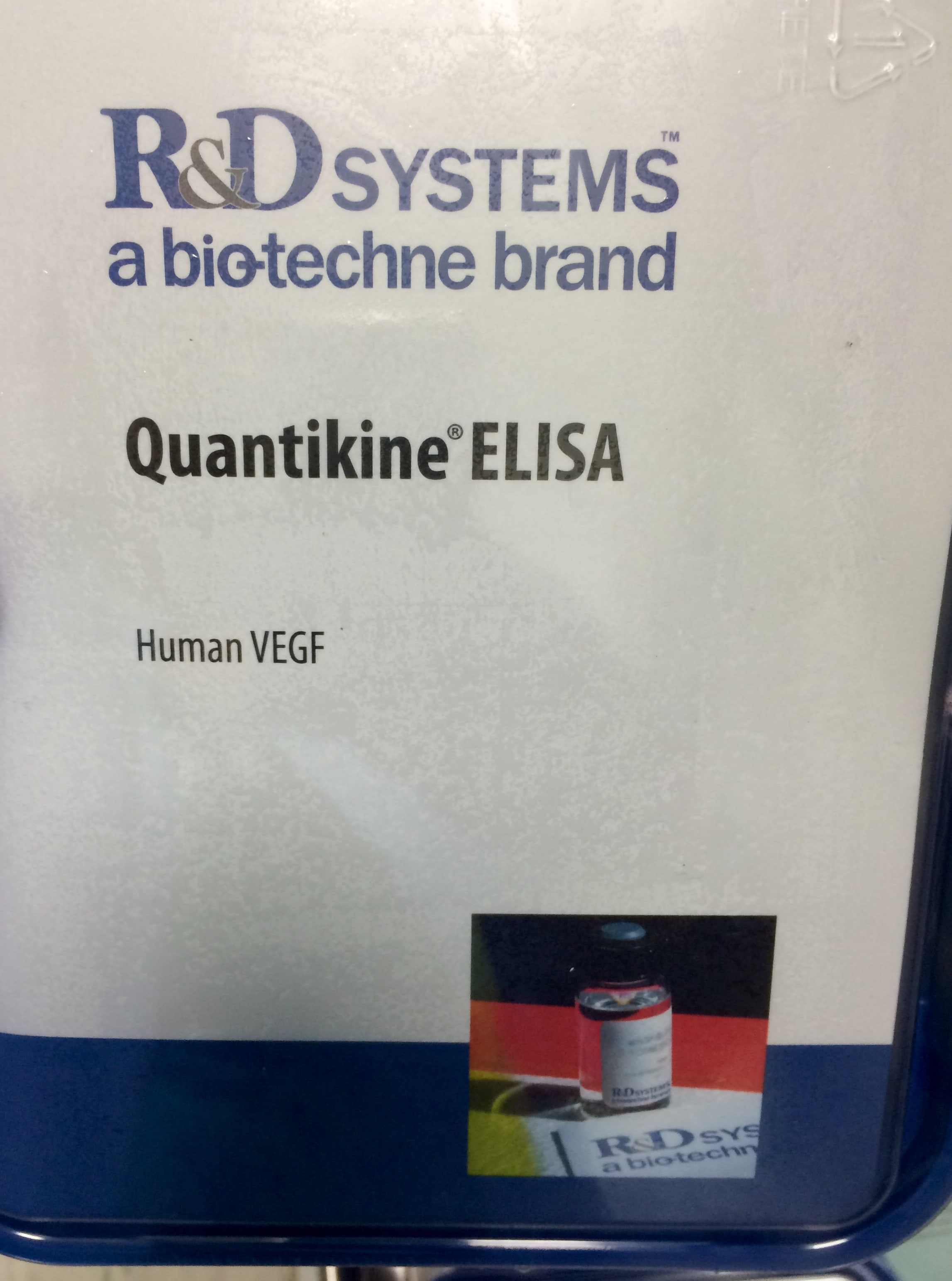 Human VEGF Quantikine ELISA Kit DVE00
