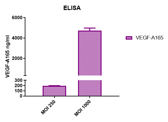 Human VEGF Quantikine ELISA Kit DVE00