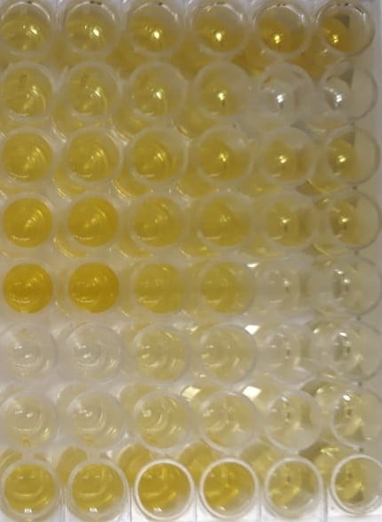 Human VEGF Quantikine ELISA Kit DVE00