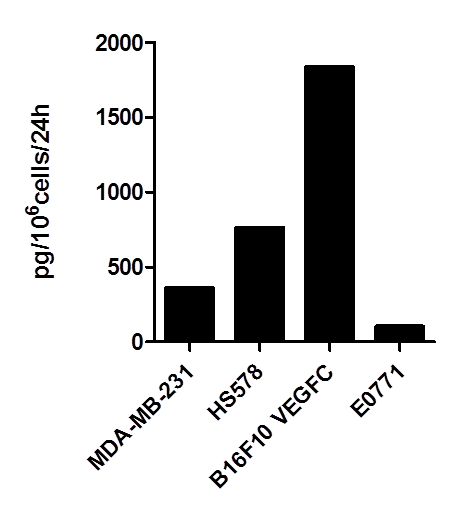 Human VEGF-C Quantikine ELISA Kit DVEC00