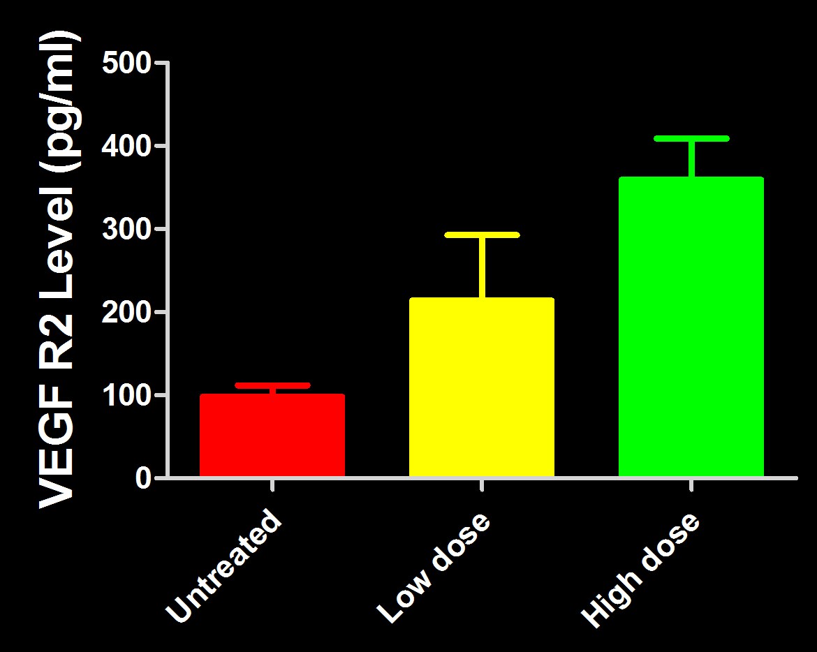 Human VEGFR2/KDR Quantikine ELISA Kit DVR200