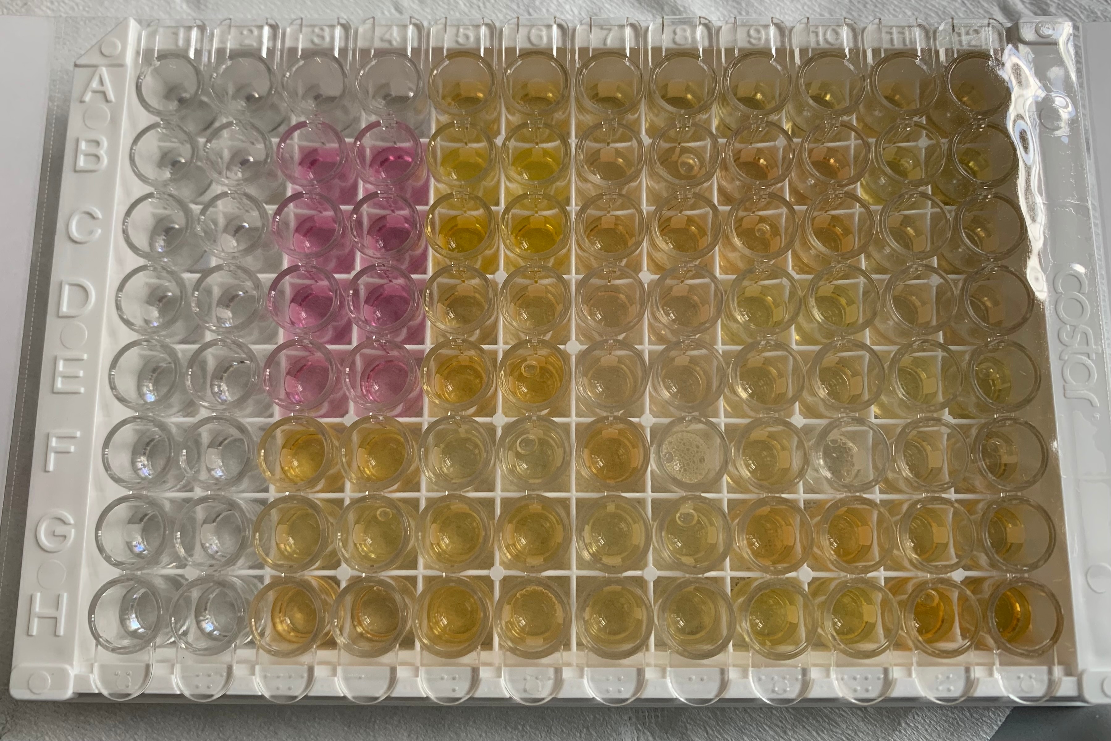 ELISA Plate-coating Buffer DY006