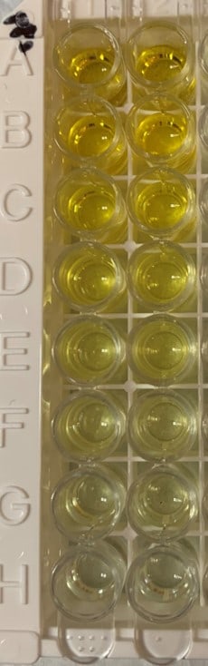 DuoSet ELISA Ancillary Reagent Kit 1 DY007