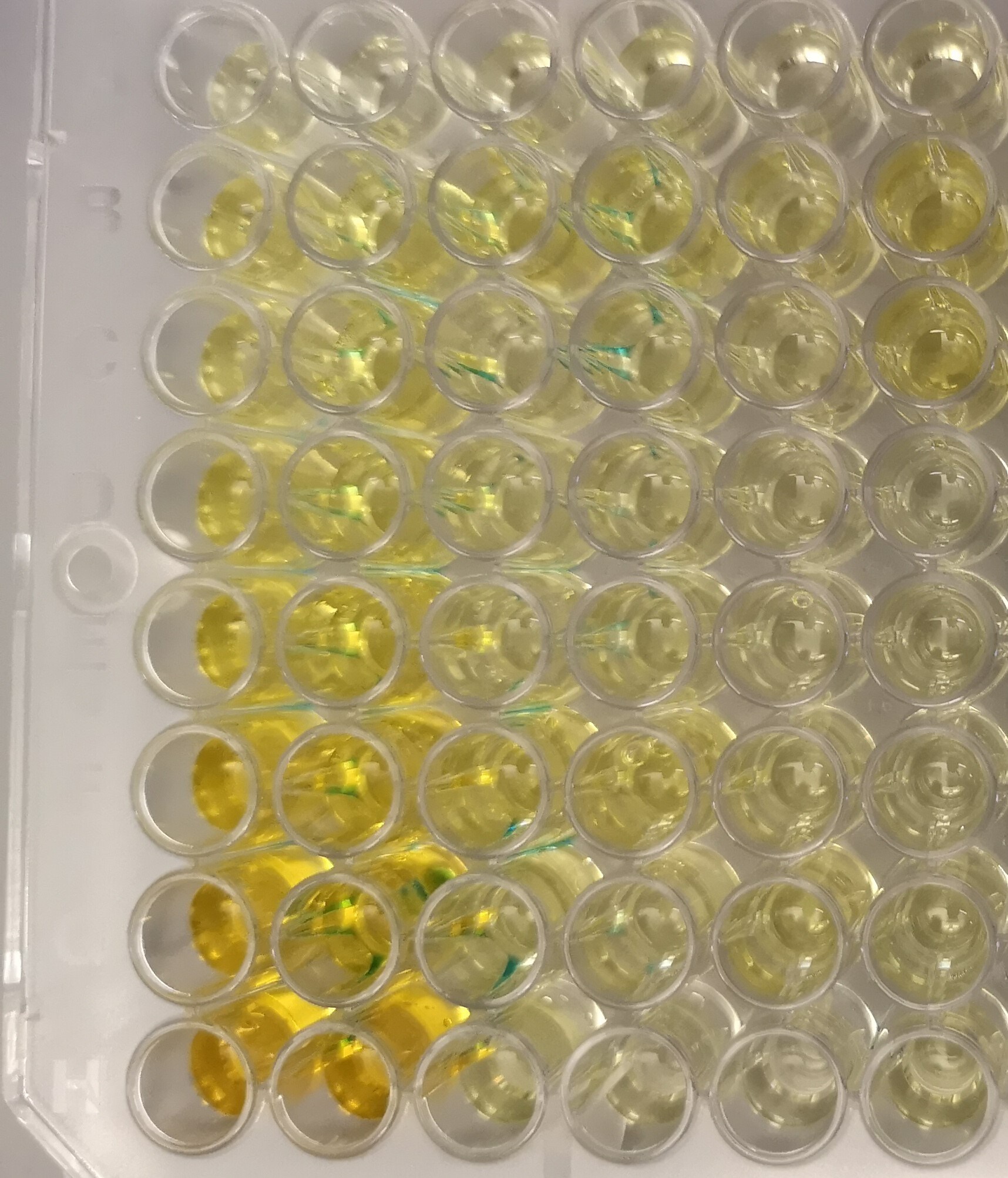 DuoSet ELISA Ancillary Reagent Kit 2 DY008