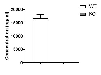 DuoSet ELISA Ancillary Reagent Kit 2 DY008