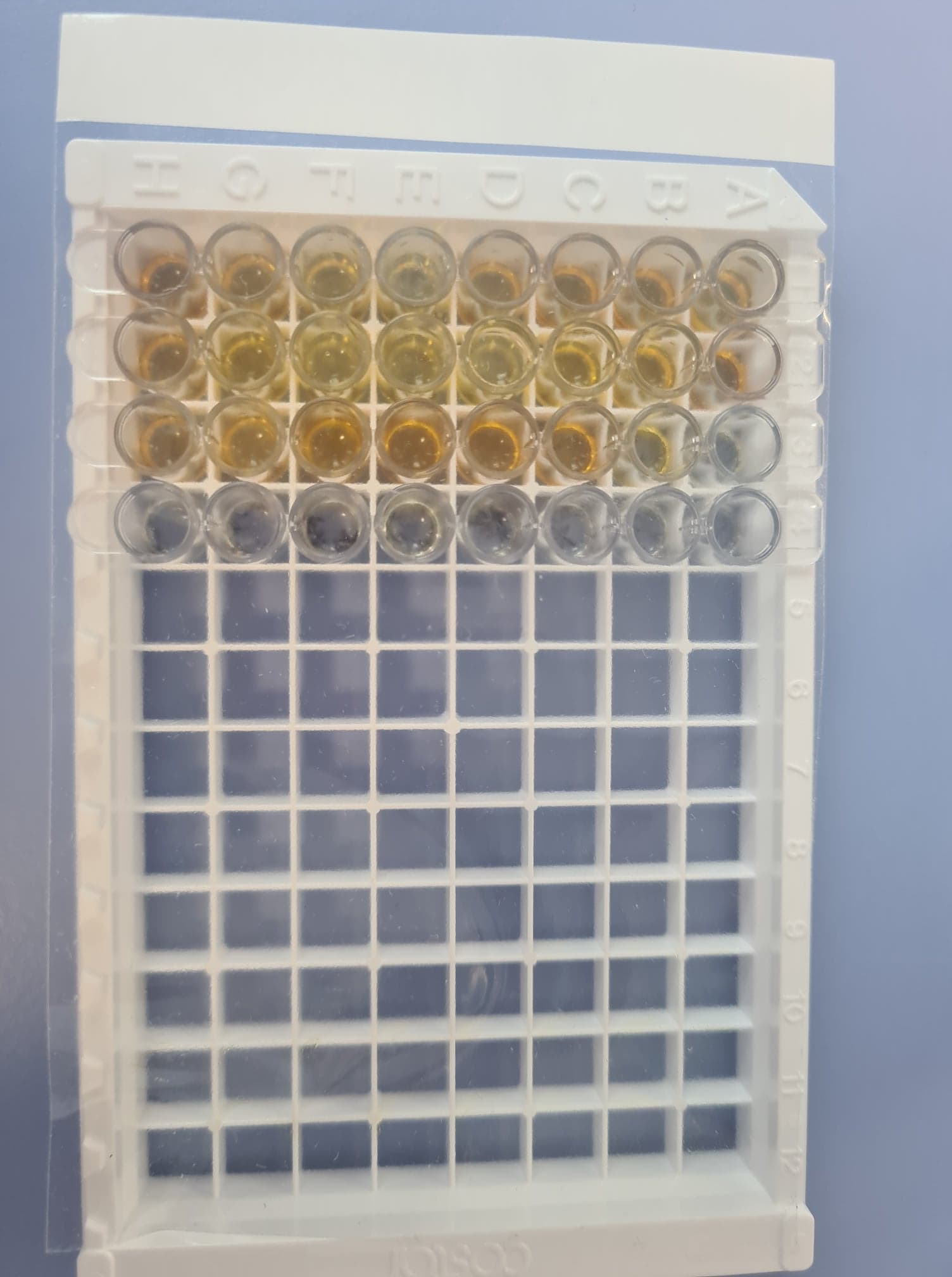 DuoSet ELISA Ancillary Reagent Kit 2 DY008