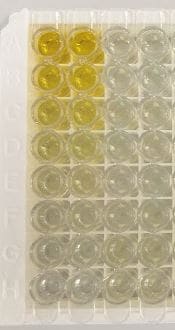 DuoSet ELISA Ancillary Reagent Kit 2 DY008