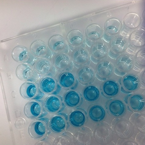 DuoSet ELISA Ancillary Reagent Kit 2 DY008