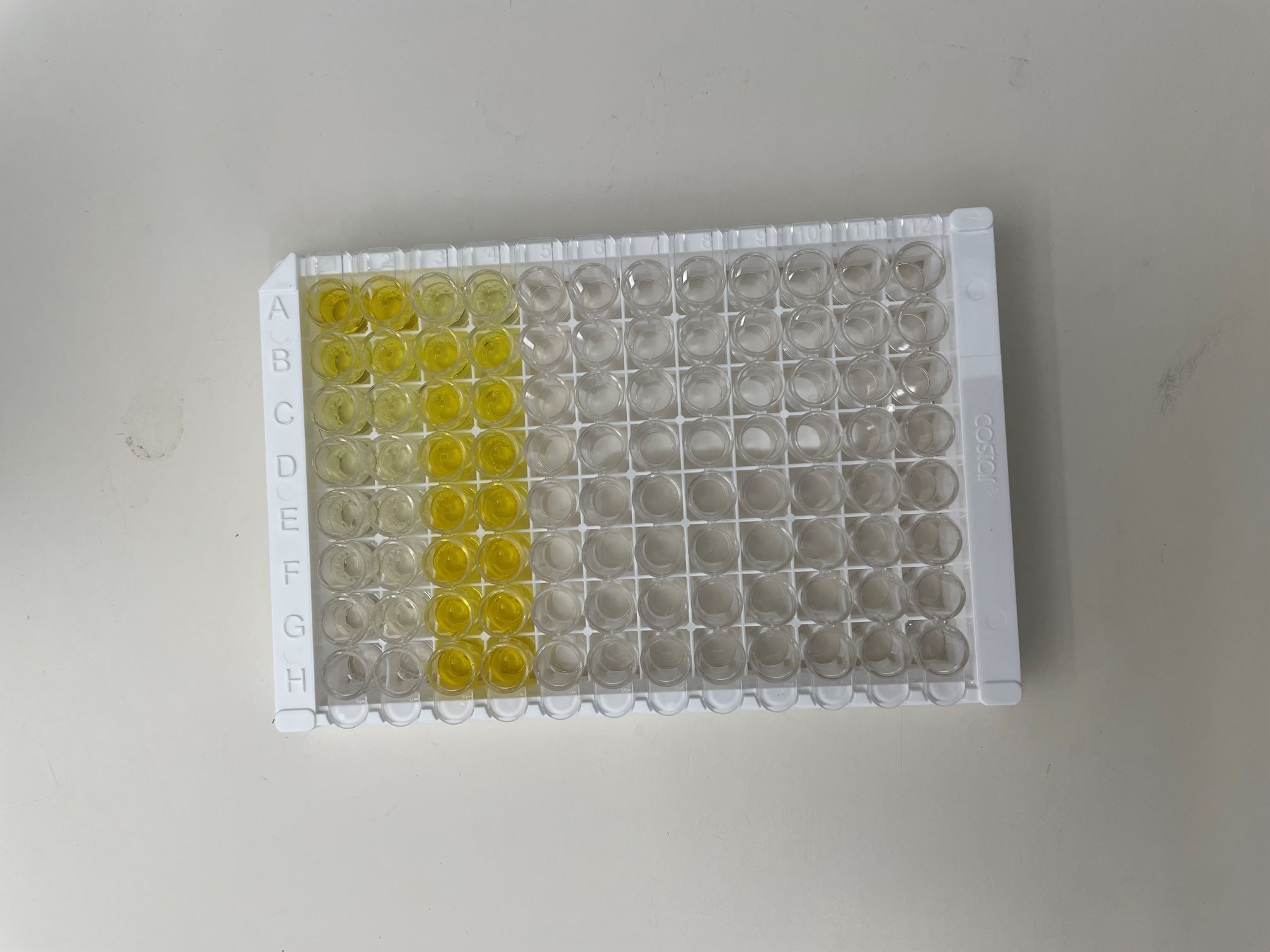DuoSet ELISA Ancillary Reagent Kit 2 DY008B