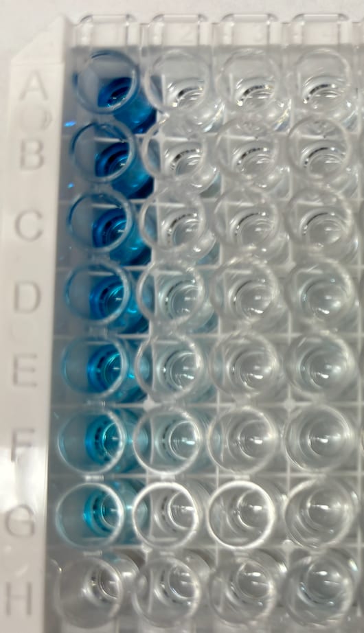 DuoSet ELISA Ancillary Reagent Kit 2 DY008B