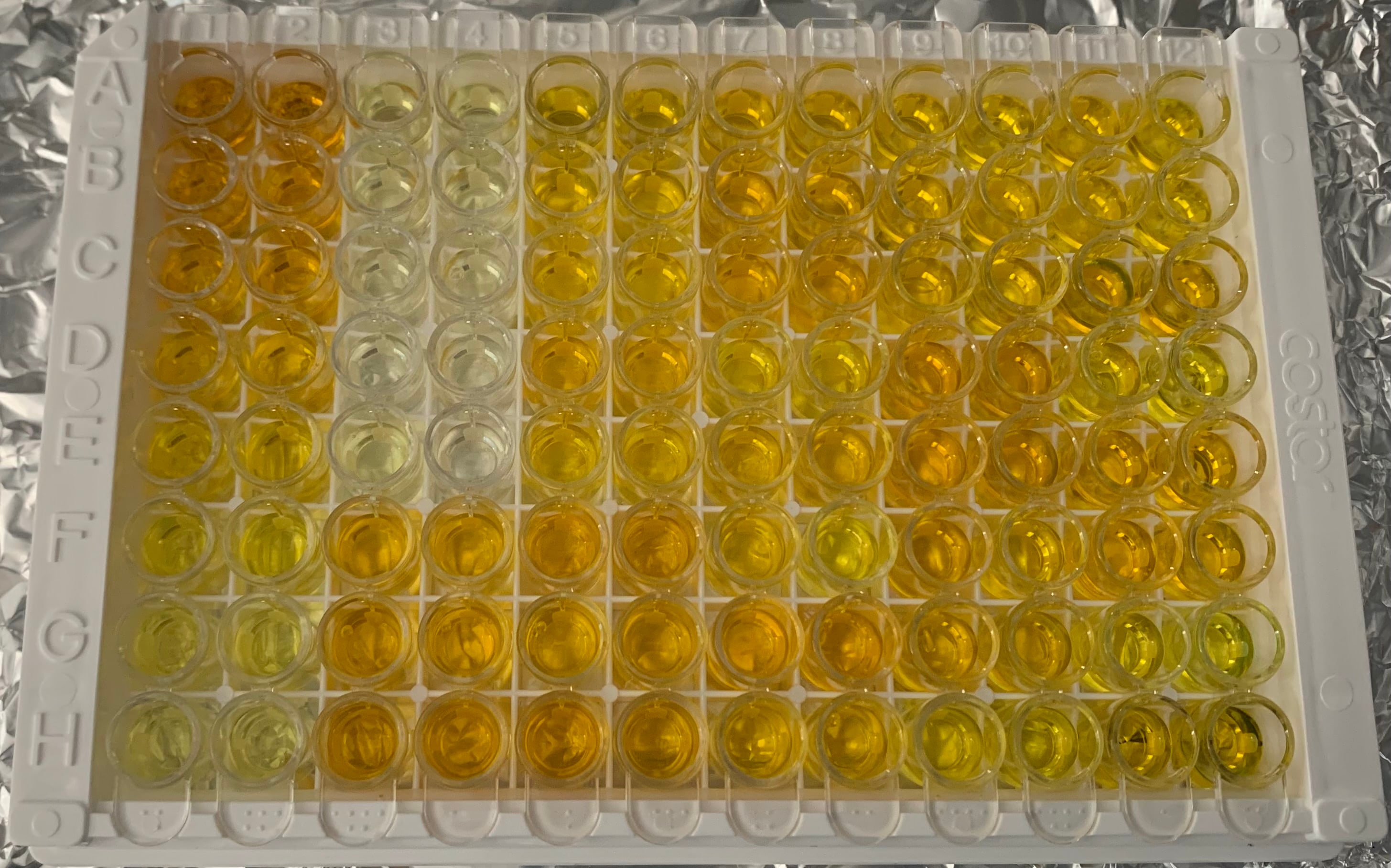 DuoSet ELISA Ancillary Reagent Kit 2 DY008B