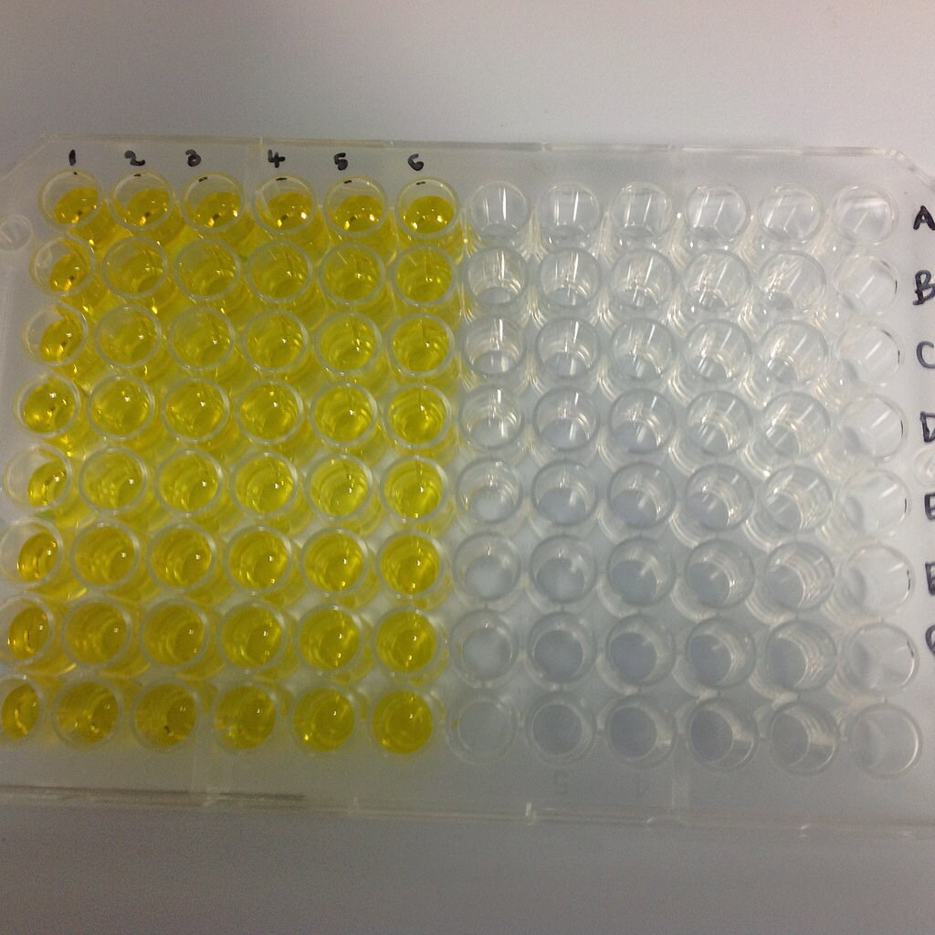 DuoSet ELISA Ancillary Reagent Kit 3 DY009