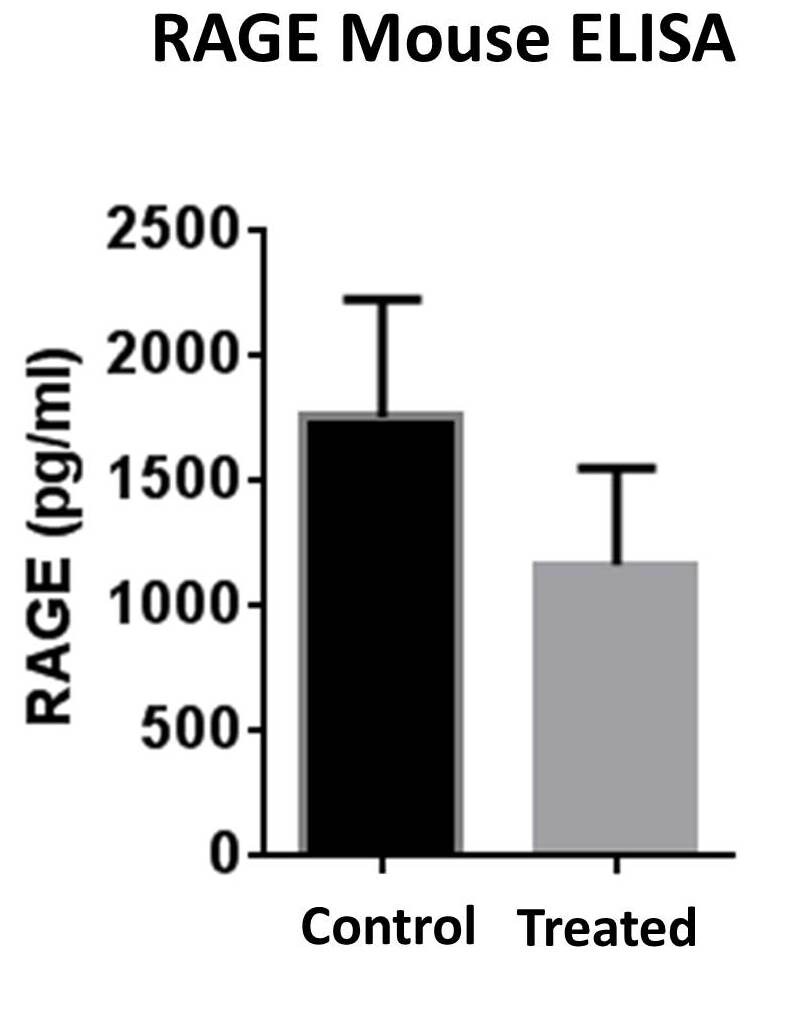 Mouse RAGE DuoSet ELISA DY1179
