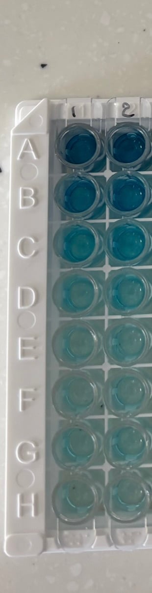 Human Cystatin C DuoSet ELISA DY1196