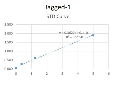 Human Jagged 1 DuoSet ELISA DY1277-05