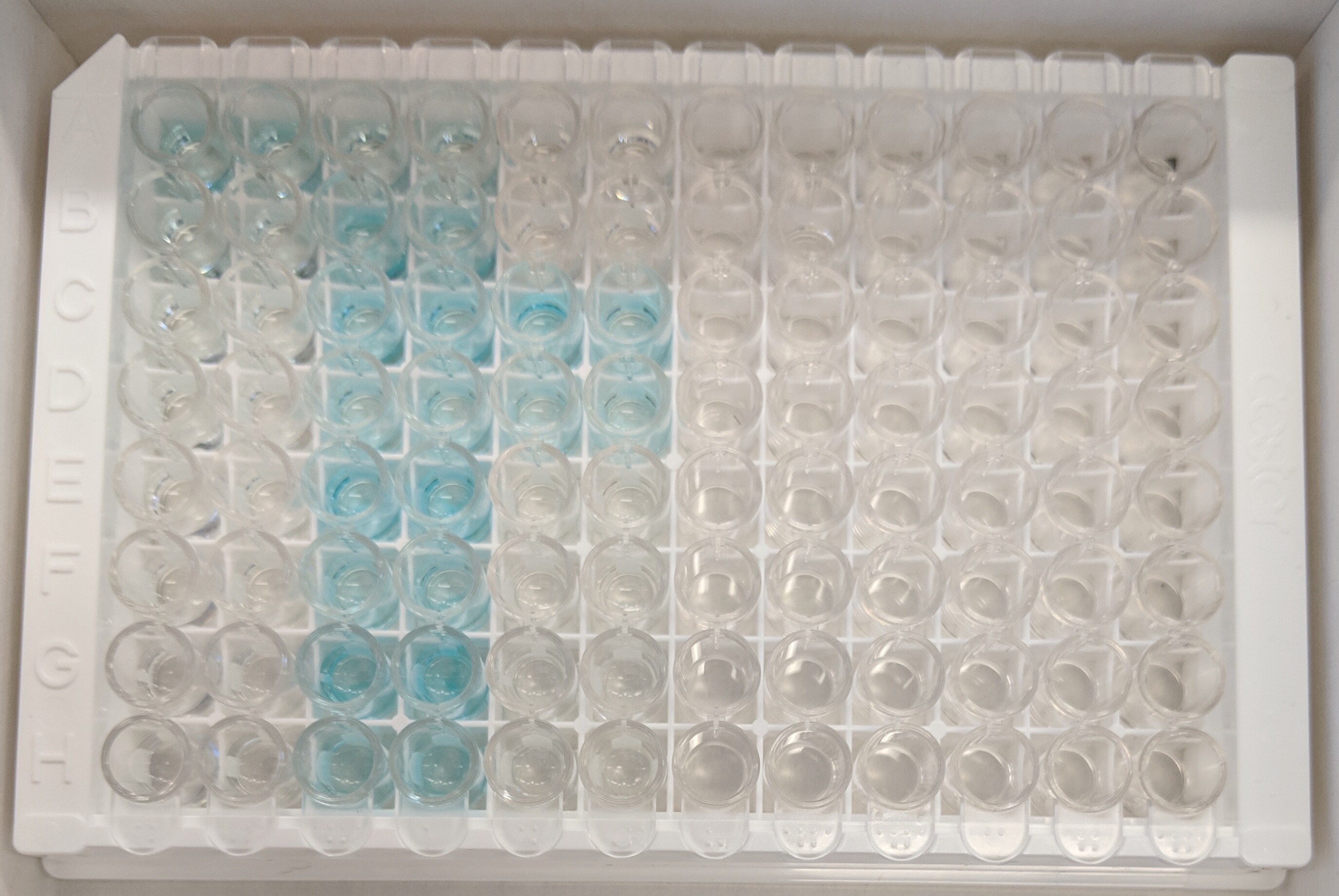 Human IL-29/IL-28B (IFN-lambda 1/3) DuoSet ELISA DY1598B