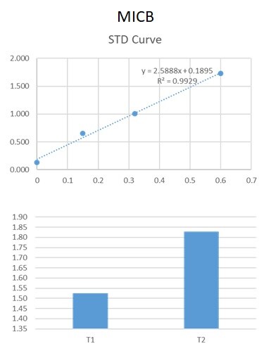 Human MICB DuoSet ELISA DY1599