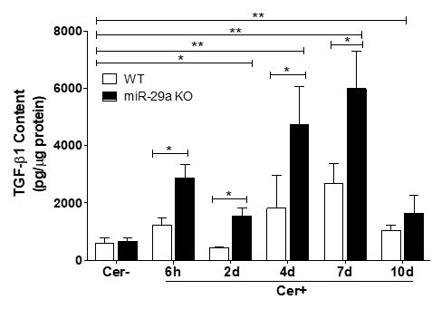 Mouse TGF-beta 1 DuoSet ELISA DY1679