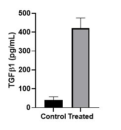 Mouse TGF-beta 1 DuoSet ELISA DY1679
