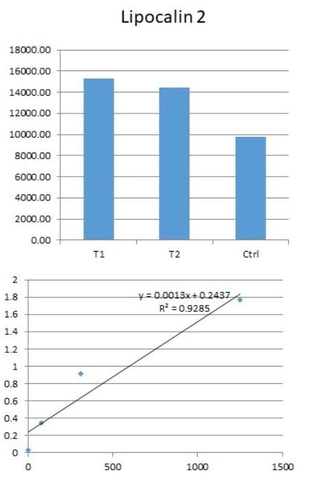 Human Lipocalin-2/NGAL DuoSet ELISA DY1757