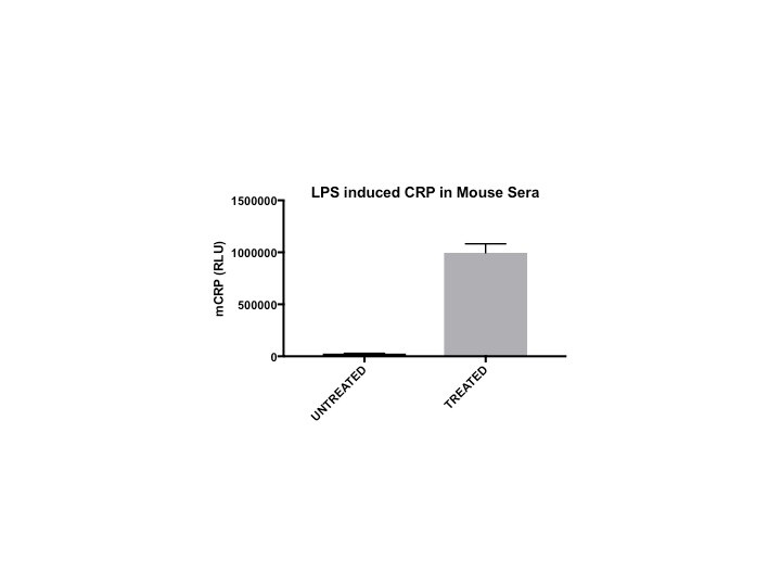 Mouse C-Reactive Protein/CRP DuoSet ELISA DY1829