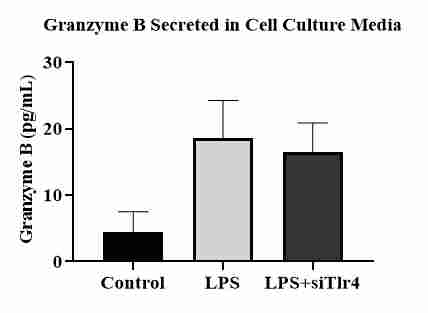 Mouse Granzyme B DuoSet ELISA DY1865