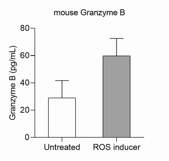 Mouse Granzyme B DuoSet ELISA DY1865