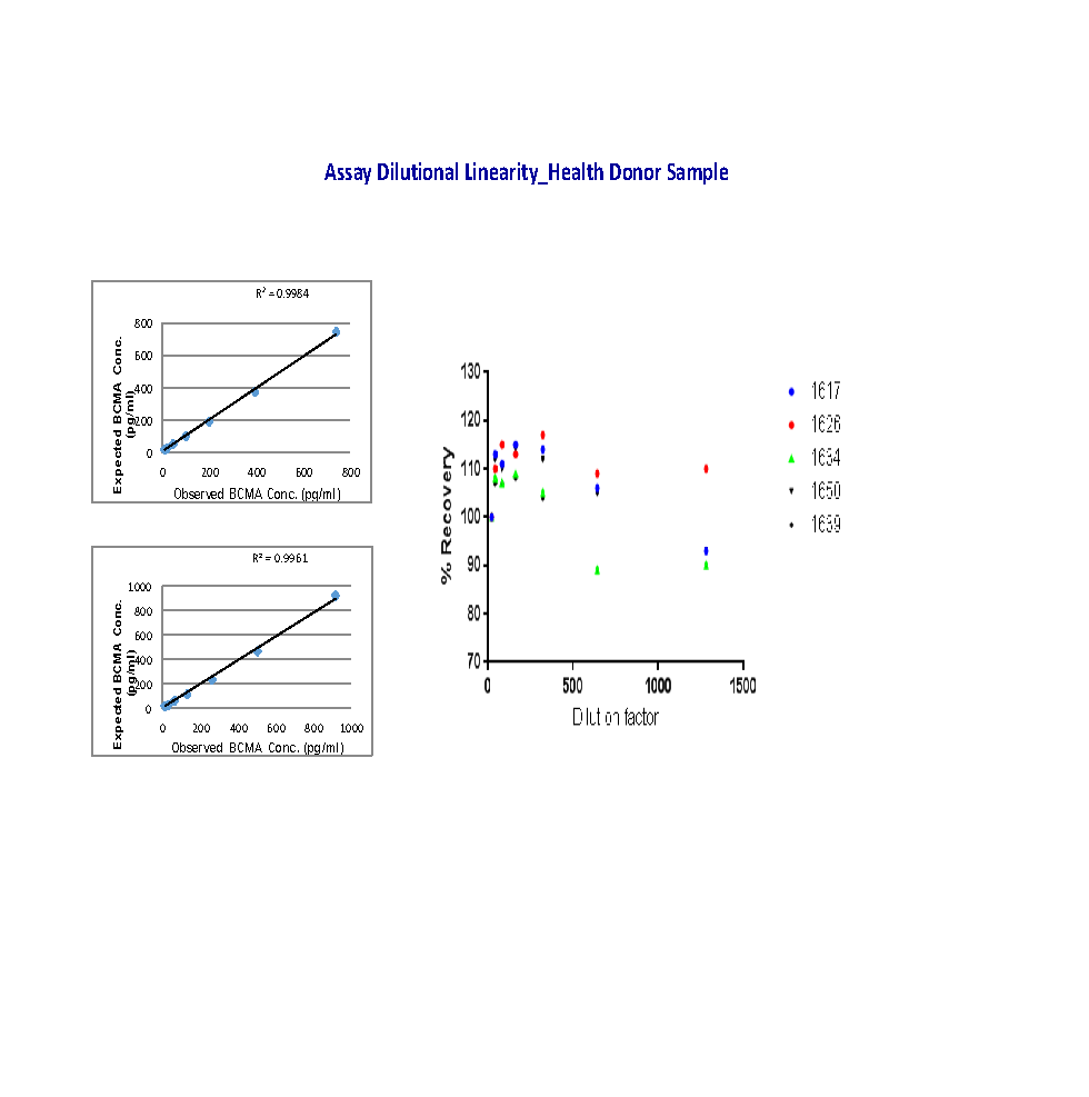 Human BCMA/TNFRSF17 DuoSet ELISA DY193