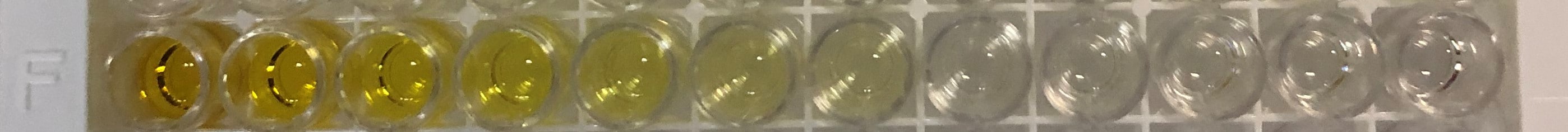 Human IL-1 beta/IL-1F2 DuoSet ELISA DY201