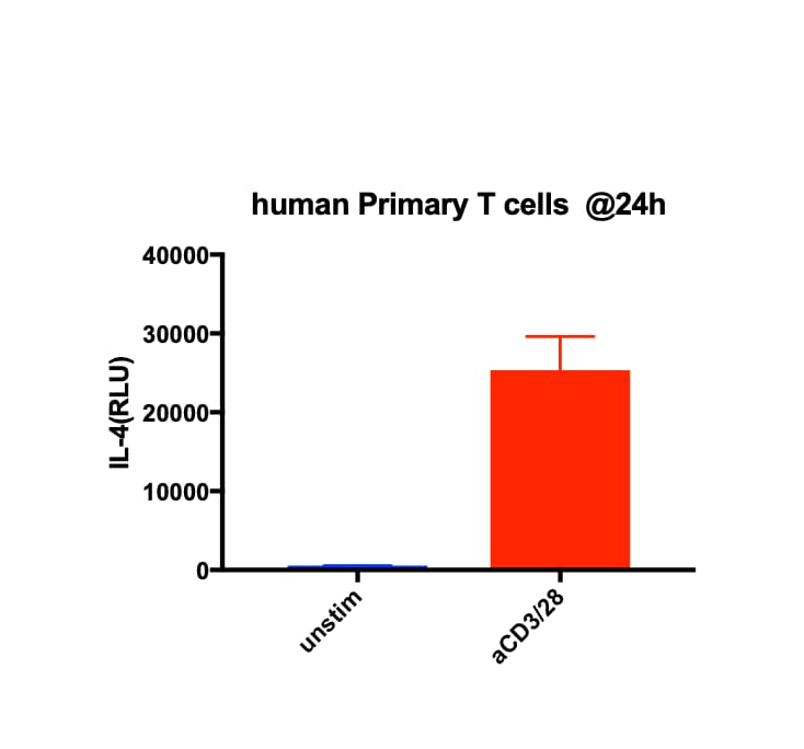 Human IL-4 DuoSet ELISA DY204