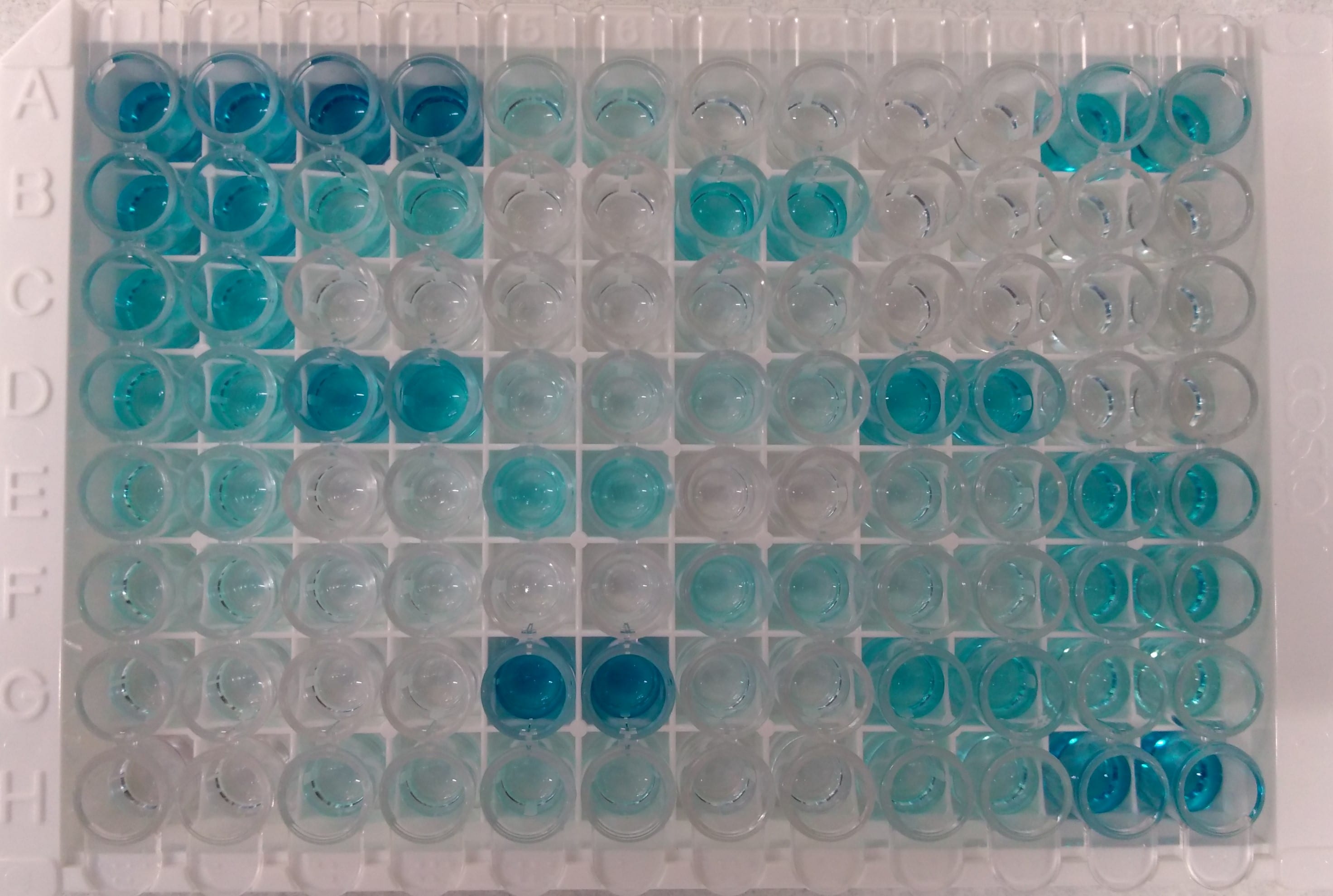 Human IL-6 DuoSet ELISA DY206