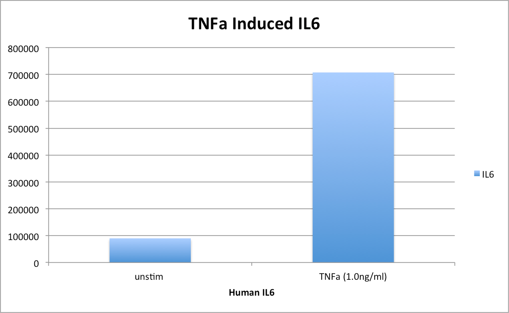 Human IL-6 DuoSet ELISA DY206