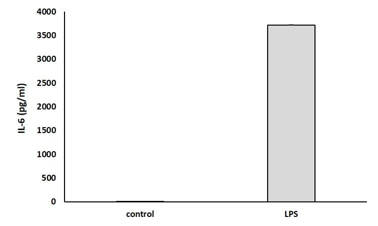 Human IL-6 DuoSet ELISA DY206
