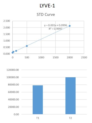 Human LYVE-1 DuoSet ELISA DY2089