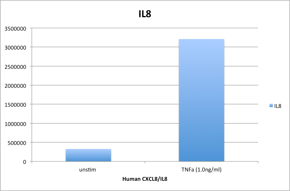 Human IL-8/CXCL8 DuoSet ELISA DY208