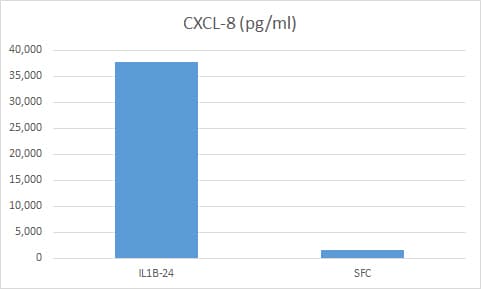 Human IL-8/CXCL8 DuoSet ELISA DY208