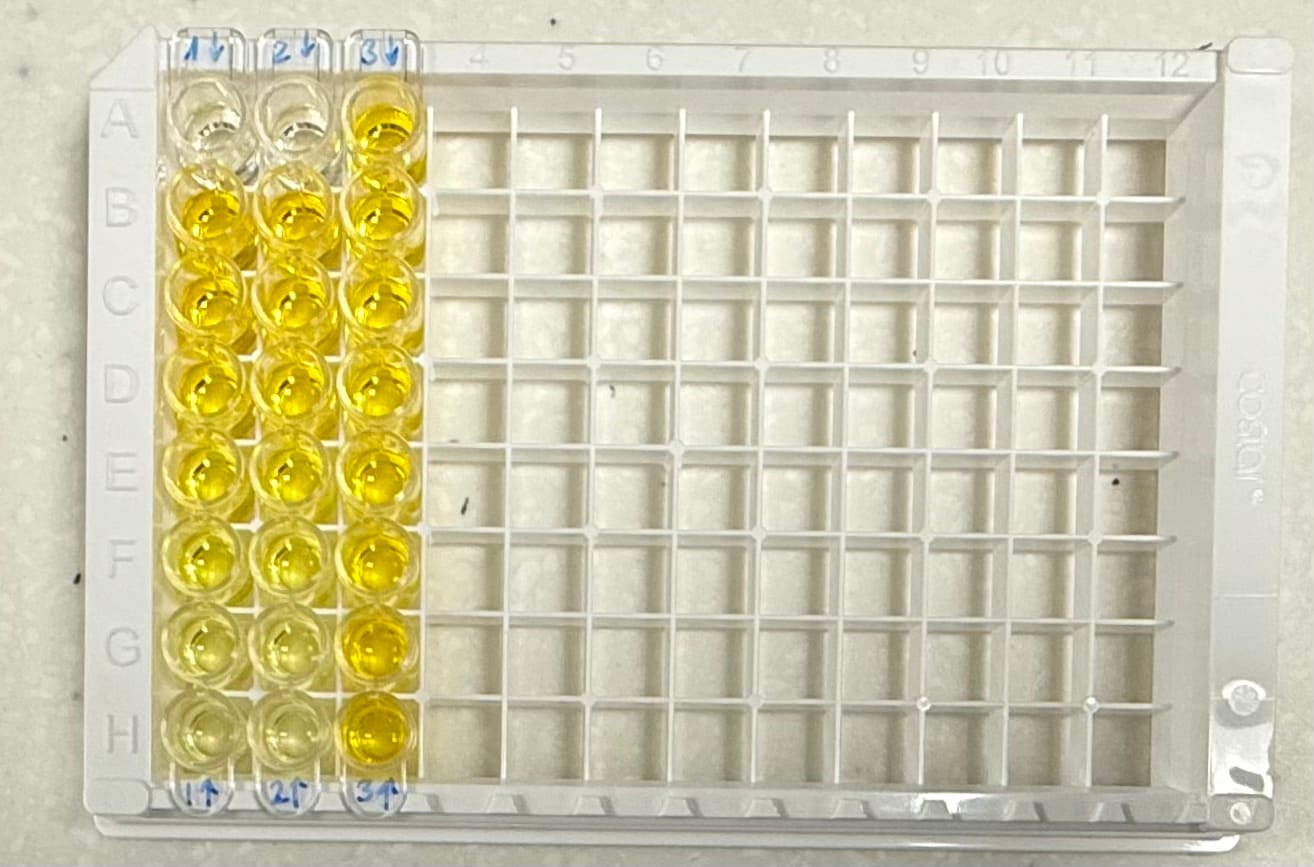 Human IL-8/CXCL8 DuoSet ELISA DY208