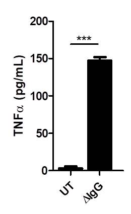 Human TNF-alpha DuoSet ELISA DY210