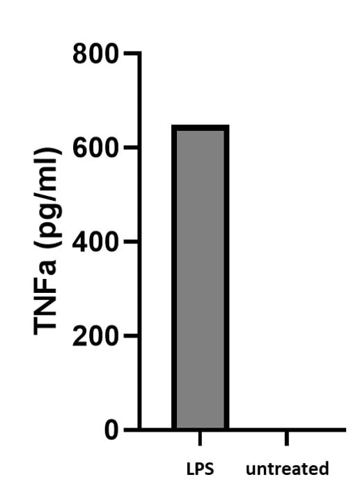 Human TNF-alpha DuoSet ELISA DY210