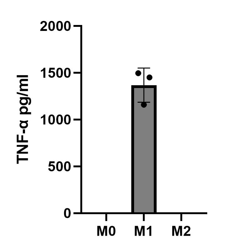 Human TNF-alpha DuoSet ELISA DY210