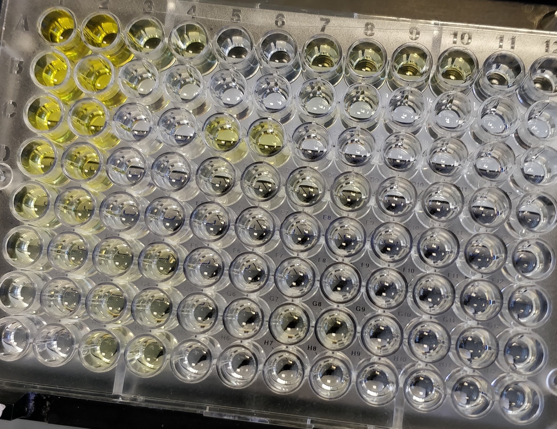 Human GM-CSF DuoSet ELISA DY215