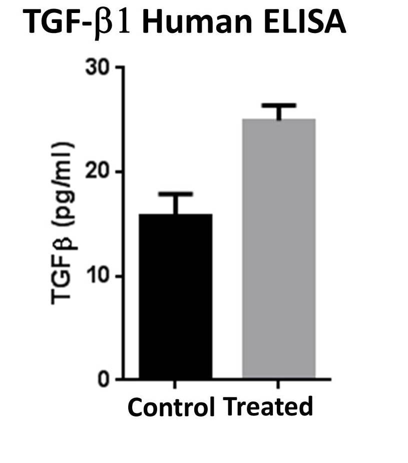 Human TGF-beta 1 DuoSet ELISA DY240