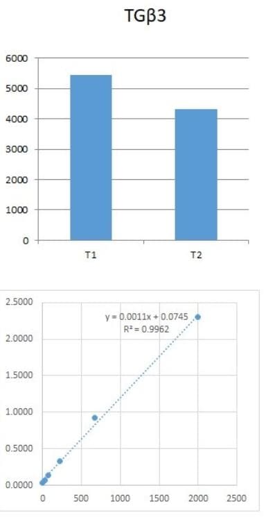 Human TGF-beta 3 DuoSet ELISA DY243