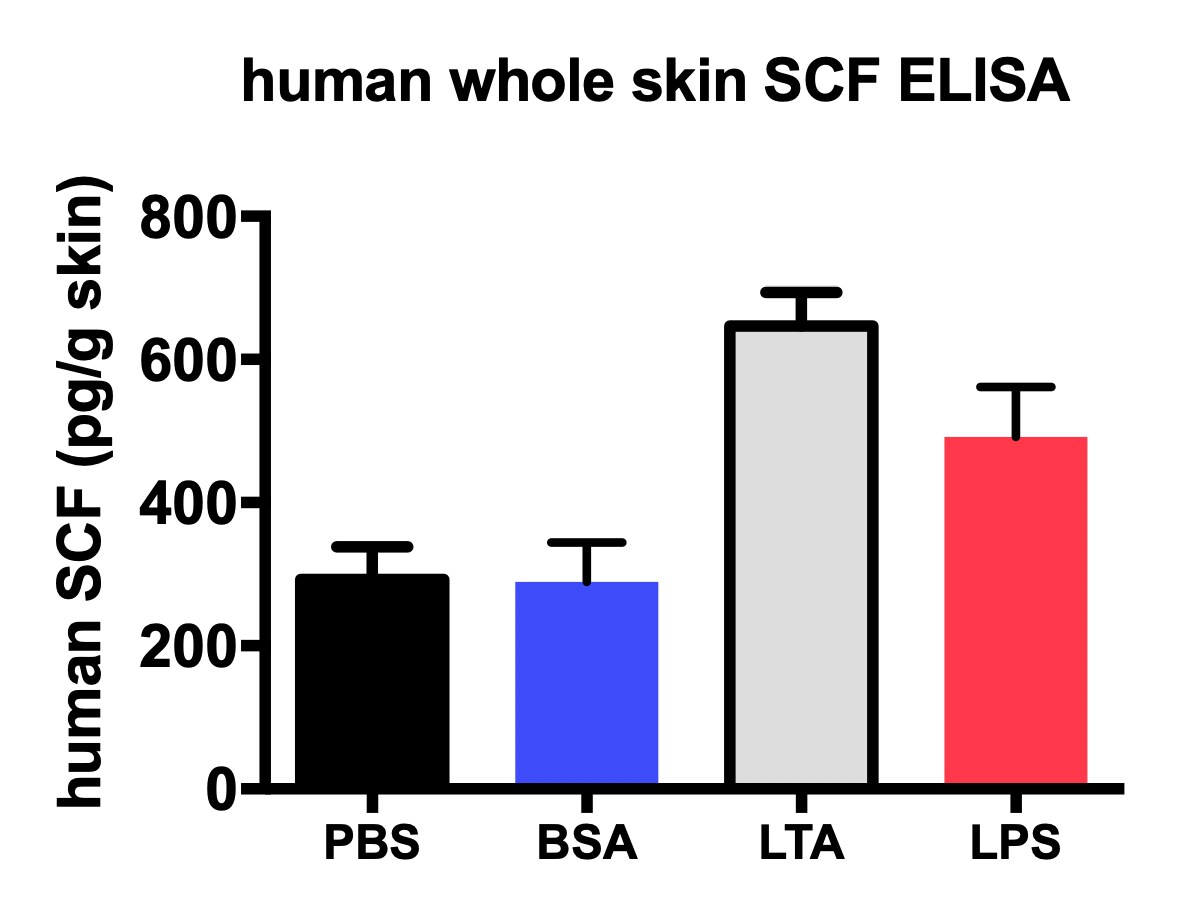 Human SCF DuoSet ELISA DY255