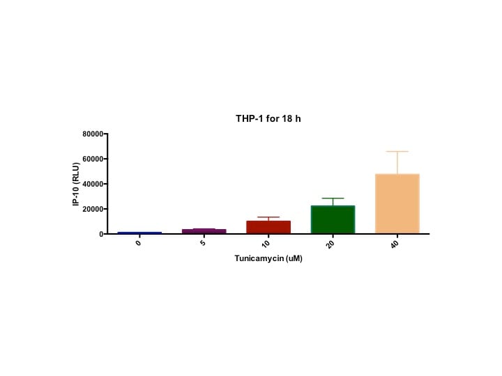 Human CXCL10/IP-10 DuoSet ELISA DY266
