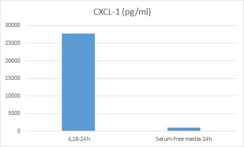 Human CXCL1/GRO alpha DuoSet ELISA DY275