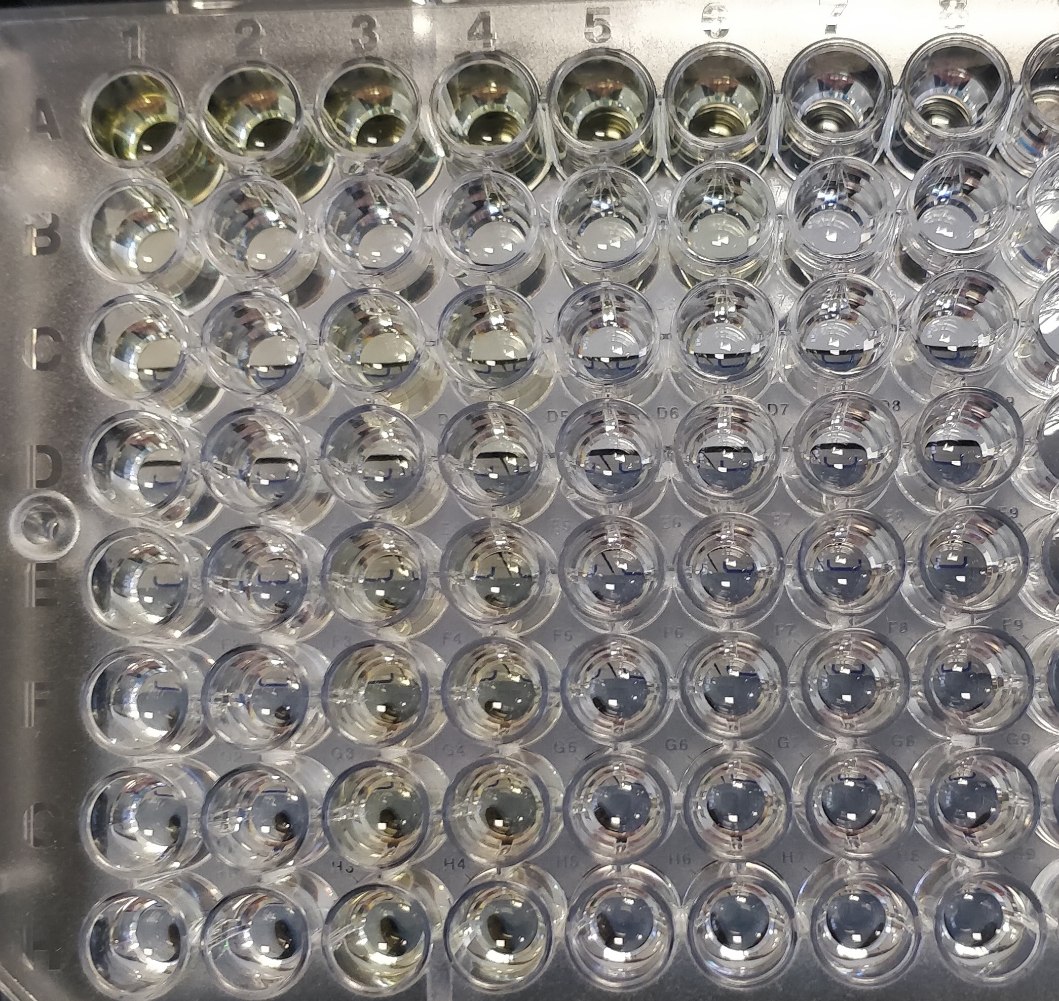 Human CCL2/MCP-1 DuoSet ELISA DY279